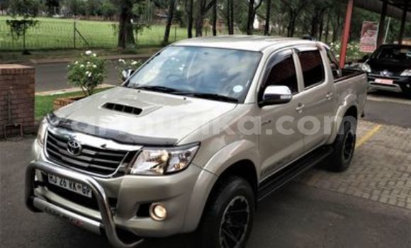 Acheter Occasion Voiture Toyota Hilux Gris à Beitbridge, Matabeleland South