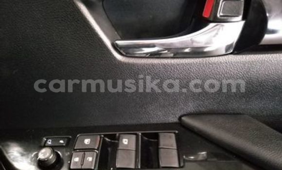 Tenga Tsaru Toyota Hilux Chena Mota in Beitbridge in Matabeleland South Tenga Tsaru Toyota Hilux Chena Mota in Beitbridge in Matabeleland South