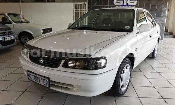 Acheter Occasion Voiture Toyota Corolla Blanc à Beitbridge, Matabeleland South Acheter Occasion Voiture Toyota Corolla Blanc à Beitbridge, Matabeleland South