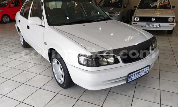 Acheter Occasion Voiture Toyota Corolla Blanc à Beitbridge, Matabeleland South Acheter Occasion Voiture Toyota Corolla Blanc à Beitbridge, Matabeleland South