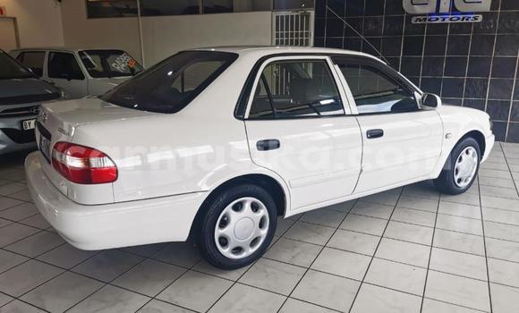 Acheter Occasion Voiture Toyota Corolla Blanc à Beitbridge, Matabeleland South Acheter Occasion Voiture Toyota Corolla Blanc à Beitbridge, Matabeleland South