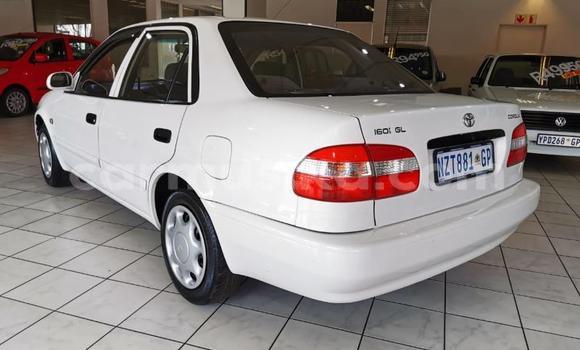 Acheter Occasion Voiture Toyota Corolla Blanc à Beitbridge, Matabeleland South Acheter Occasion Voiture Toyota Corolla Blanc à Beitbridge, Matabeleland South