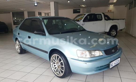 Acheter Occasion Voiture Toyota Corolla Autre à Beitbridge, Matabeleland South Acheter Occasion Voiture Toyota Corolla Autre à Beitbridge, Matabeleland South