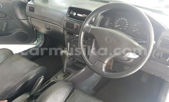 Acheter Occasion Voiture Toyota Corolla Autre à Beitbridge, Matabeleland South Acheter Occasion Voiture Toyota Corolla Autre à Beitbridge, Matabeleland South