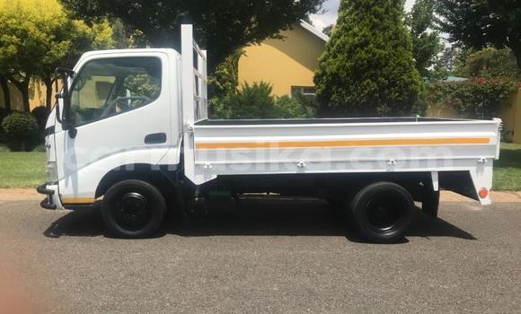 Buy Used Toyota Dyna White Car in Beitbridge in Matabeleland South