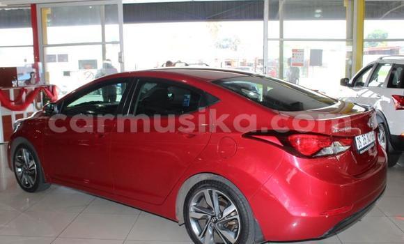 Tenga Tsaru Hyundai Elantra Tsvuku Mota in Beitbridge in Matabeleland South Tenga Tsaru Hyundai Elantra Tsvuku Mota in Beitbridge in Matabeleland South