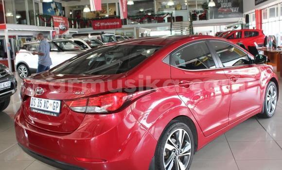 Tenga Tsaru Hyundai Elantra Tsvuku Mota in Beitbridge in Matabeleland South Tenga Tsaru Hyundai Elantra Tsvuku Mota in Beitbridge in Matabeleland South