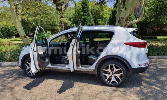 Tenga Tsaru Kia Sportage Chena Mota in Beitbridge in Matabeleland South Tenga Tsaru Kia Sportage Chena Mota in Beitbridge in Matabeleland South