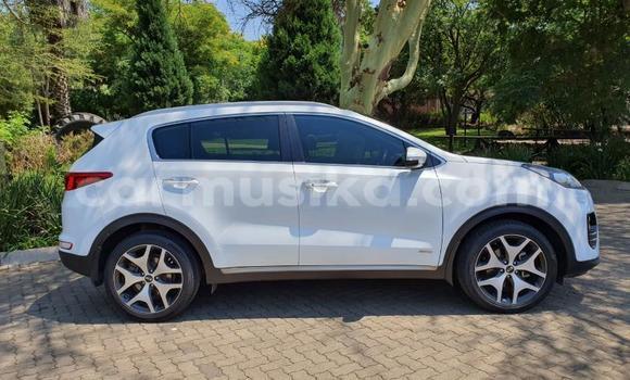 Tenga Tsaru Kia Sportage Chena Mota in Beitbridge in Matabeleland South Tenga Tsaru Kia Sportage Chena Mota in Beitbridge in Matabeleland South