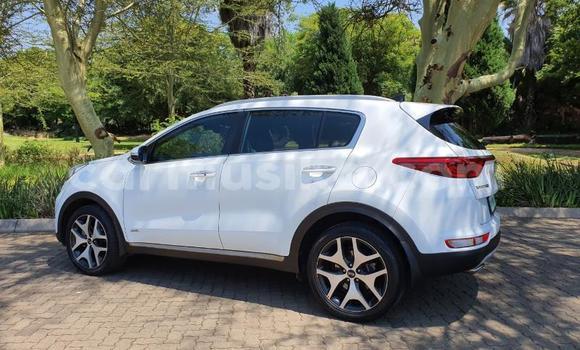 Tenga Tsaru Kia Sportage Chena Mota in Beitbridge in Matabeleland South Tenga Tsaru Kia Sportage Chena Mota in Beitbridge in Matabeleland South