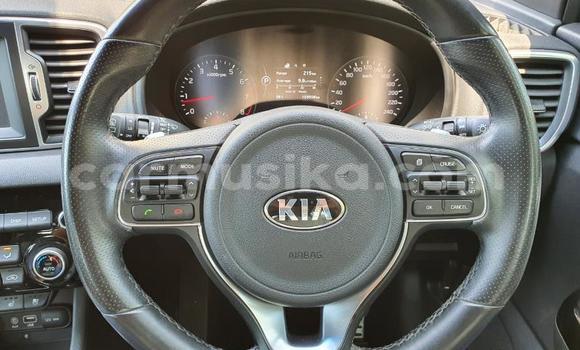 Tenga Tsaru Kia Sportage Chena Mota in Beitbridge in Matabeleland South Tenga Tsaru Kia Sportage Chena Mota in Beitbridge in Matabeleland South