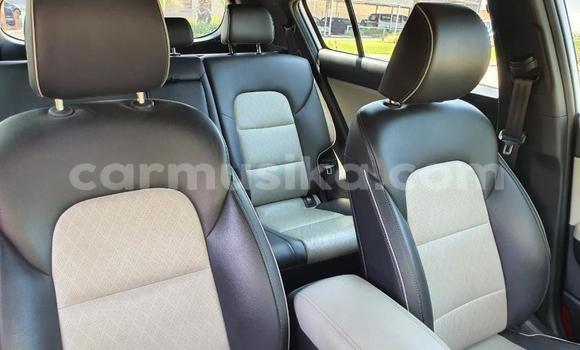 Tenga Tsaru Kia Sportage Chena Mota in Beitbridge in Matabeleland South Tenga Tsaru Kia Sportage Chena Mota in Beitbridge in Matabeleland South