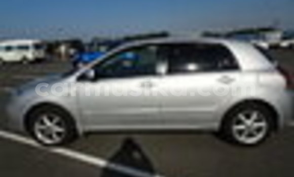 Tenga Tsaru Toyota Runx Sirivha Mota in Beitbridge in Matabeleland South Tenga Tsaru Toyota Runx Sirivha Mota in Beitbridge in Matabeleland South