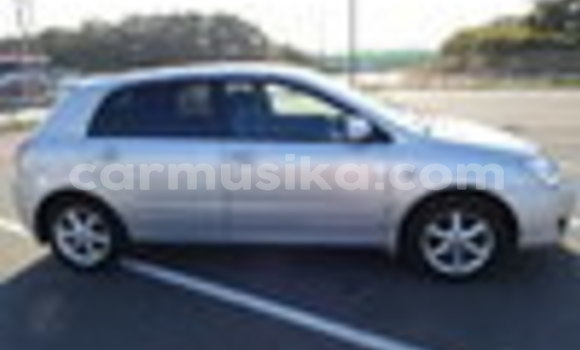 Tenga Tsaru Toyota Runx Sirivha Mota in Beitbridge in Matabeleland South Tenga Tsaru Toyota Runx Sirivha Mota in Beitbridge in Matabeleland South