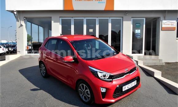 Nunua Ilio tumika Kia Picanto Nyekundu Gari ndani ya Beitbridge nchini Matabeleland Kusini Nunua Ilio tumika Kia Picanto Nyekundu Gari ndani ya Beitbridge nchini Matabeleland Kusini