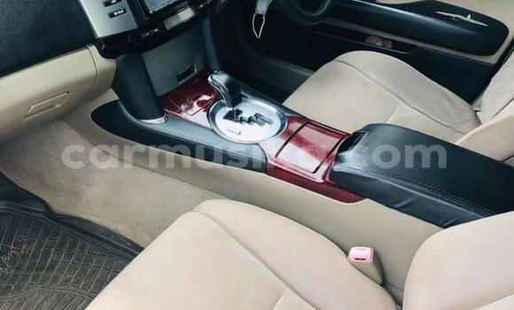 Tenga Tsaru Toyota Mark X Sirivha Mota in Alexandra Park in Harare Tenga Tsaru Toyota Mark X Sirivha Mota in Alexandra Park in Harare