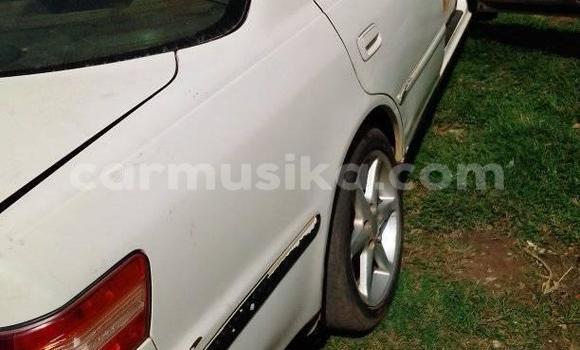 Tenga Tsaru Toyota Mark II Chena Mota in Alexandra Park in Harare Tenga Tsaru Toyota Mark II Chena Mota in Alexandra Park in Harare