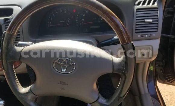 Tenga Tsaru Toyota Camry Nhema Mota in Alexandra Park in Harare Tenga Tsaru Toyota Camry Nhema Mota in Alexandra Park in Harare