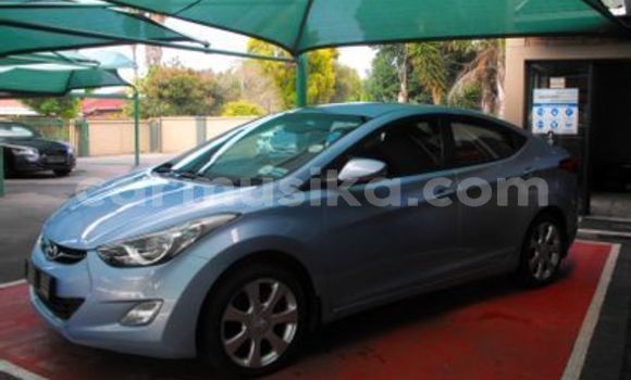 Tenga Tsaru Hyundai Elantra Bhuruu Mota in Beitbridge in Matabeleland South