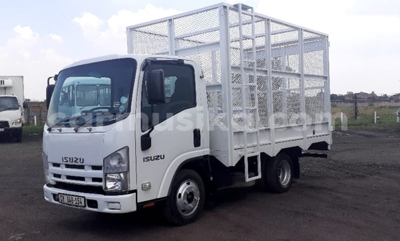 Tenga Tsaru Isuzu FTR 850 Chena Rori in Harare in Harare Tenga Tsaru Isuzu FTR 850 Chena Rori in Harare in Harare
