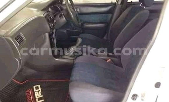 Tenga Tsaru Toyota Corolla Chena Mota in Beitbridge in Matabeleland South Tenga Tsaru Toyota Corolla Chena Mota in Beitbridge in Matabeleland South