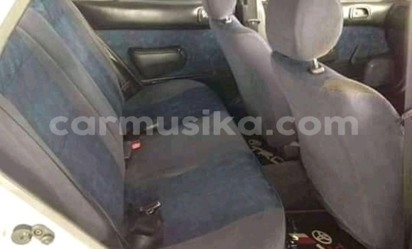 Tenga Tsaru Toyota Corolla Chena Mota in Beitbridge in Matabeleland South Tenga Tsaru Toyota Corolla Chena Mota in Beitbridge in Matabeleland South