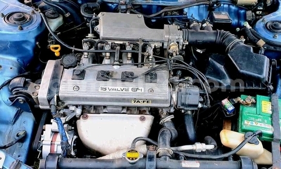 Tenga Tsaru Toyota Corolla Bhuruu Mota in Beitbridge in Matabeleland South Tenga Tsaru Toyota Corolla Bhuruu Mota in Beitbridge in Matabeleland South