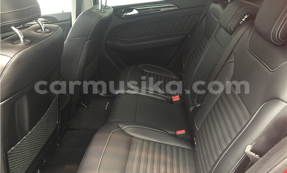 Tenga Tsaru Mercedes‒Benz GLE Tsvuku Mota in Beitbridge in Matabeleland South Tenga Tsaru Mercedes‒Benz GLE Tsvuku Mota in Beitbridge in Matabeleland South