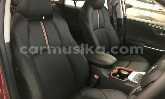 Nunua Ilio tumika Toyota RAV4 Nyekundu Gari ndani ya Beitbridge nchini Matabeleland Kusini Nunua Ilio tumika Toyota RAV4 Nyekundu Gari ndani ya Beitbridge nchini Matabeleland Kusini