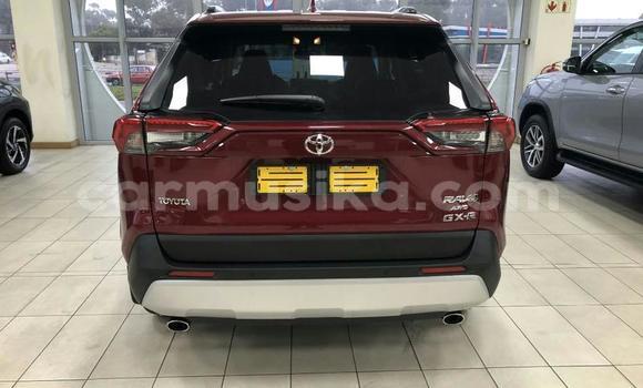 Nunua Ilio tumika Toyota RAV4 Nyekundu Gari ndani ya Beitbridge nchini Matabeleland Kusini Nunua Ilio tumika Toyota RAV4 Nyekundu Gari ndani ya Beitbridge nchini Matabeleland Kusini