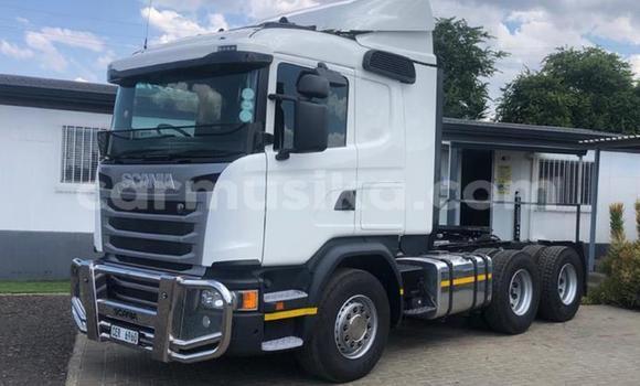 Buy Used Scania R420 White Truck in Beitbridge in Matabeleland South