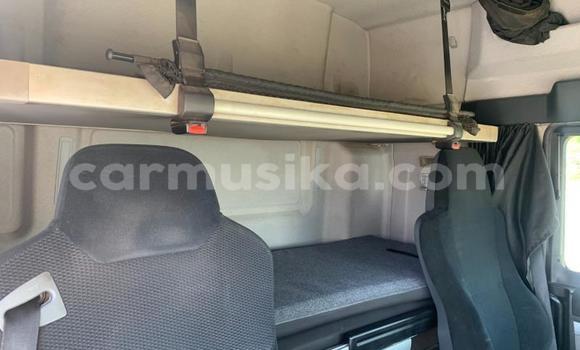 Acheter Occasion Utilitaire Man Silent Blanc à Beitbridge, Matabeleland South Acheter Occasion Utilitaire Man Silent Blanc à Beitbridge, Matabeleland South