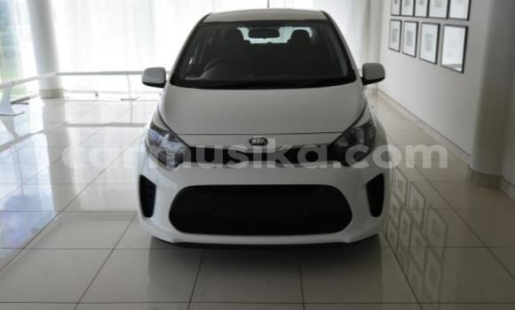 Buy Used Kia Picanto White Car in Beitbridge in Matabeleland South Buy Used Kia Picanto White Car in Beitbridge in Matabeleland South