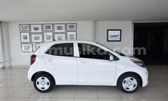 Acheter Occasion Voiture Kia Picanto Blanc à Beitbridge, Matabeleland South Acheter Occasion Voiture Kia Picanto Blanc à Beitbridge, Matabeleland South