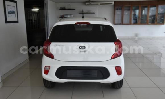 Acheter Occasion Voiture Kia Picanto Blanc à Beitbridge, Matabeleland South Acheter Occasion Voiture Kia Picanto Blanc à Beitbridge, Matabeleland South