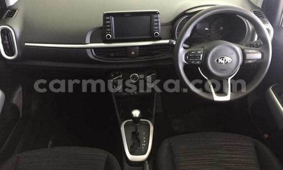 Acheter Occasion Voiture Kia Picanto Blanc à Beitbridge, Matabeleland South Acheter Occasion Voiture Kia Picanto Blanc à Beitbridge, Matabeleland South