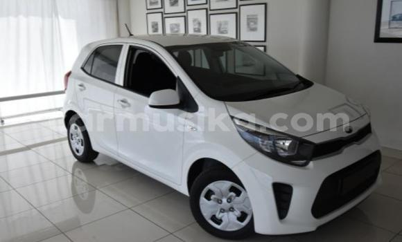 Acheter Occasion Voiture Kia Picanto Blanc à Beitbridge, Matabeleland South Acheter Occasion Voiture Kia Picanto Blanc à Beitbridge, Matabeleland South