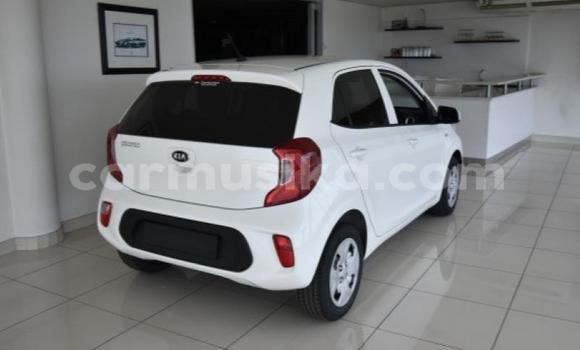 Acheter Occasion Voiture Kia Picanto Blanc à Beitbridge, Matabeleland South Acheter Occasion Voiture Kia Picanto Blanc à Beitbridge, Matabeleland South