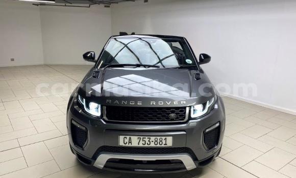 Nunua Ilio tumika Land Rover Range Rover Evoque Beige Gari ndani ya Beitbridge nchini Matabeleland Kusini