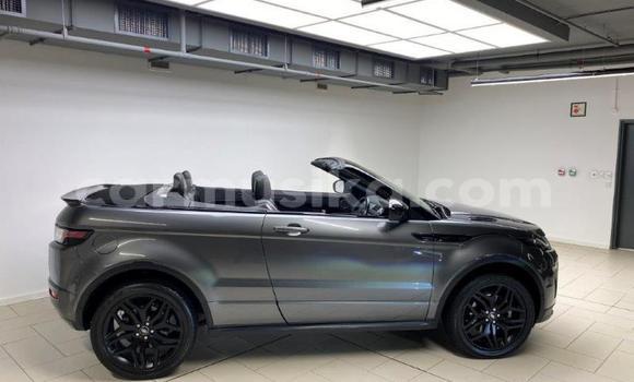 Acheter Occasion Voiture Land Rover Range Rover Evoque Beige à Beitbridge, Matabeleland South Acheter Occasion Voiture Land Rover Range Rover Evoque Beige à Beitbridge, Matabeleland South