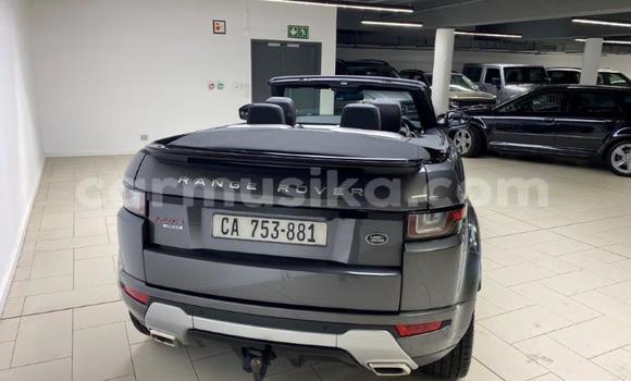 Acheter Occasion Voiture Land Rover Range Rover Evoque Beige à Beitbridge, Matabeleland South Acheter Occasion Voiture Land Rover Range Rover Evoque Beige à Beitbridge, Matabeleland South