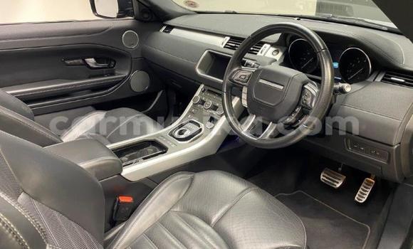 Acheter Occasion Voiture Land Rover Range Rover Evoque Beige à Beitbridge, Matabeleland South Acheter Occasion Voiture Land Rover Range Rover Evoque Beige à Beitbridge, Matabeleland South