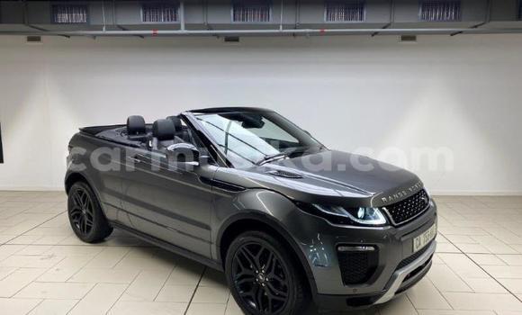 Acheter Occasion Voiture Land Rover Range Rover Evoque Beige à Beitbridge, Matabeleland South Acheter Occasion Voiture Land Rover Range Rover Evoque Beige à Beitbridge, Matabeleland South