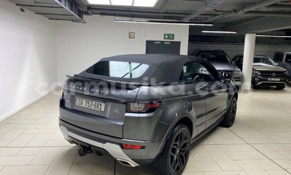 Acheter Occasion Voiture Land Rover Range Rover Evoque Beige à Beitbridge, Matabeleland South Acheter Occasion Voiture Land Rover Range Rover Evoque Beige à Beitbridge, Matabeleland South