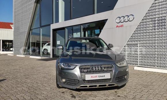 Tenga Tsaru Audi A4 Zvimwe Mota in Beitbridge in Matabeleland South