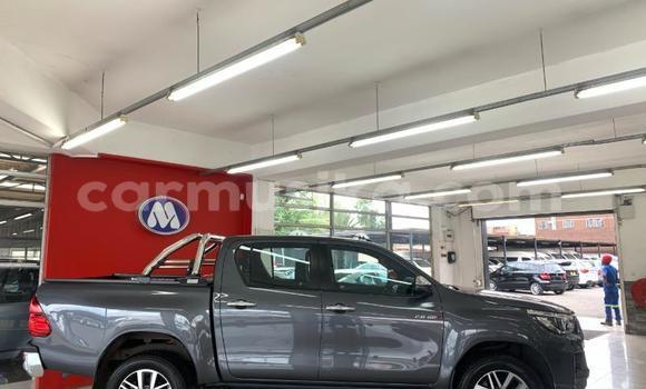 Acheter Occasion Voiture Toyota Hilux Beige à Beitbridge, Matabeleland South Acheter Occasion Voiture Toyota Hilux Beige à Beitbridge, Matabeleland South