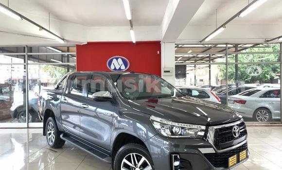 Acheter Occasion Voiture Toyota Hilux Beige à Beitbridge, Matabeleland South Acheter Occasion Voiture Toyota Hilux Beige à Beitbridge, Matabeleland South