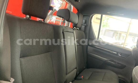 Tenga Tsaru Toyota Hilux Chena Mota in Beitbridge in Matabeleland South Tenga Tsaru Toyota Hilux Chena Mota in Beitbridge in Matabeleland South