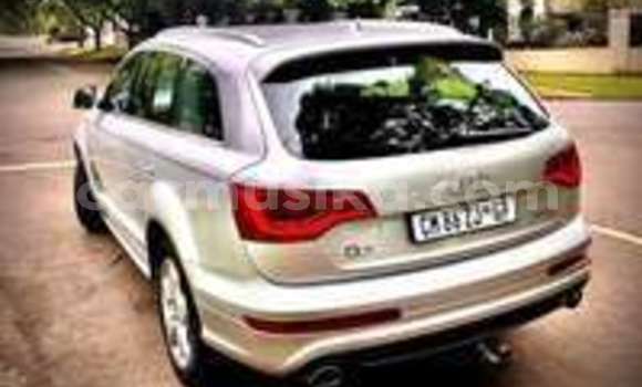 Tenga Tsaru Audi Q7 Sirivha Mota in Harare in Harare Tenga Tsaru Audi Q7 Sirivha Mota in Harare in Harare