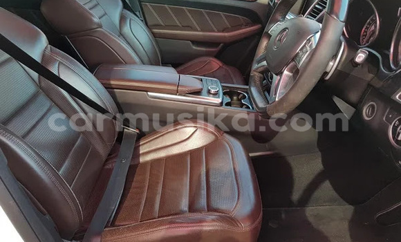 Tenga Tsaru Mercedes‒Benz AMG GLE Chena Mota in Beitbridge in Matabeleland South Tenga Tsaru Mercedes‒Benz AMG GLE Chena Mota in Beitbridge in Matabeleland South